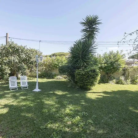 Camelias Chalet *